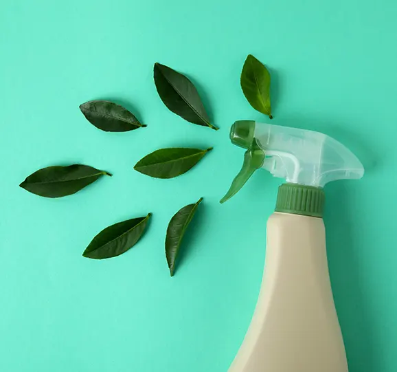 An eco-friendly cleaning spray bottle surrounded by green leaves on a mint background