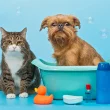 pet_friendly_cleaning