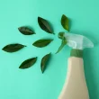 spray-and-leafs-eco-friendly